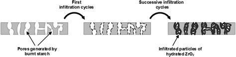 Schematic Representation Of The Modification Of The Microporous Ceramic Download Scientific