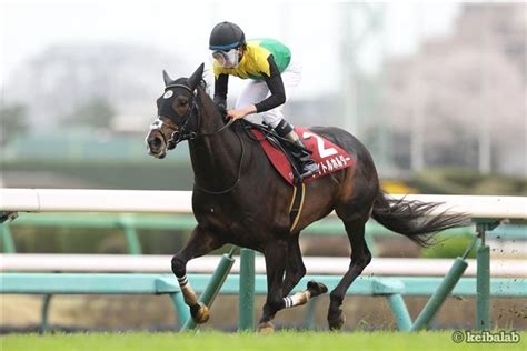 【有馬記念】お宝馬発見！ほぼ毎年来るのに人気なし「グランプリg1の法則」とは 競馬ニュース 競馬ラボ