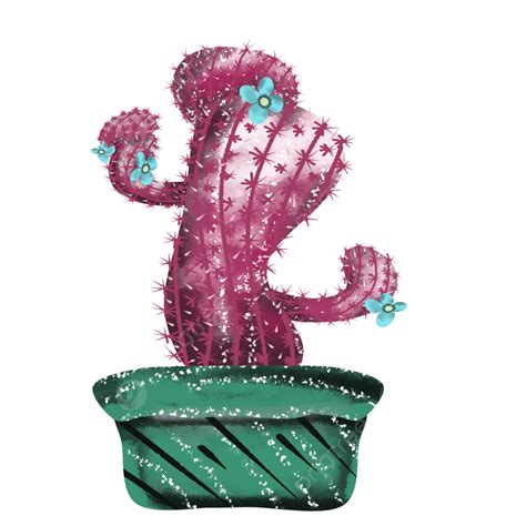 Cactus Illustration Png Transparent Cactus Illustration Pinkviolet