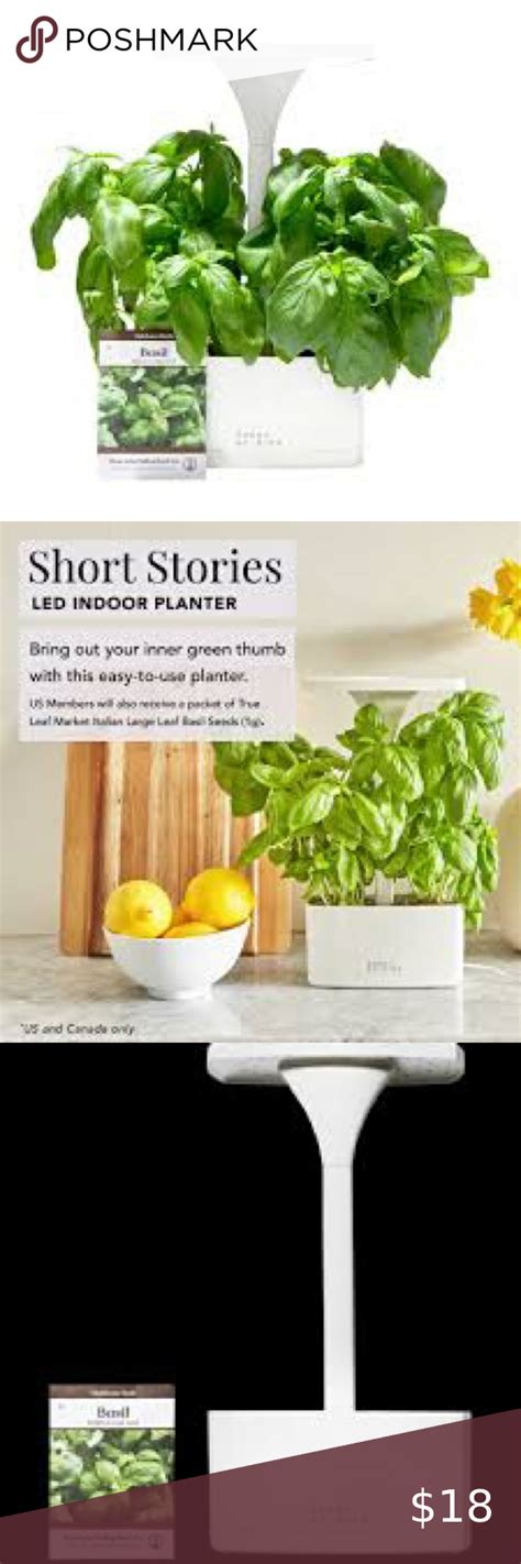 Short Stories Led Lighted Indoor Planter Indoor Planters Planters Indoor