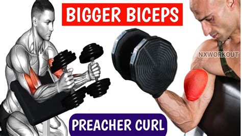 6 Killer Biceps Workout At Gym Preacher Curl Biceps Youtube