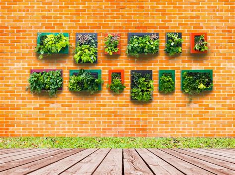 Ideas Para Realizar Maravillosos Jardines Verticales En Casa Geocax