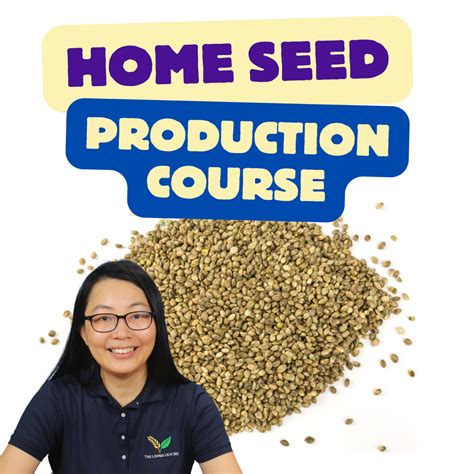 Home Seed Production Course The Living Centre