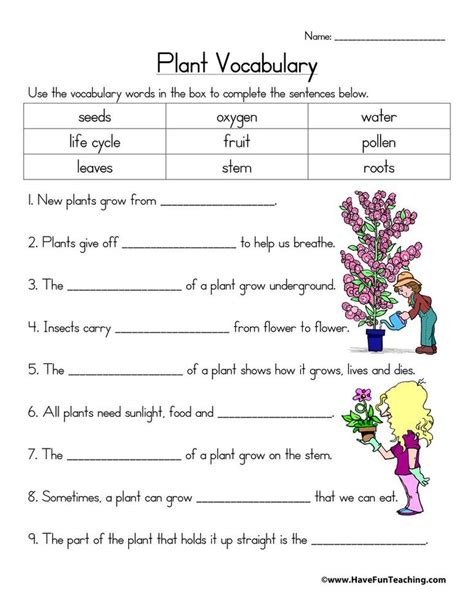 Plant Vocabulary Worksheet Have Fun Teaching Plants Vocabulary 2nd Grade Worksheets Plants