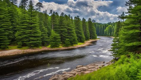 Hartwick Pines State Park: Explore Michigan - Verdant Traveler