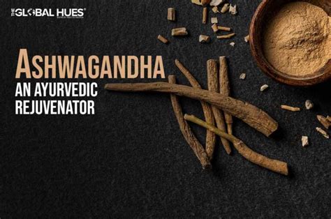 Ashwagandha An Ayurvedic Rejuvenator The Global Hues