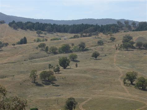 sofala nsw  sold rural farming commercial real estate