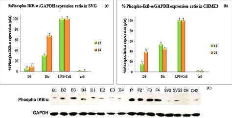 Western blot for phospho IKB α S32 GAPDH expression in SVG and CHME3