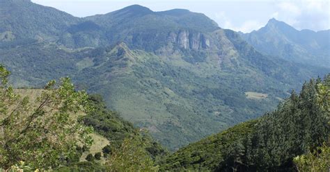 knuckles mountain range  guide  soultrek sri lanka