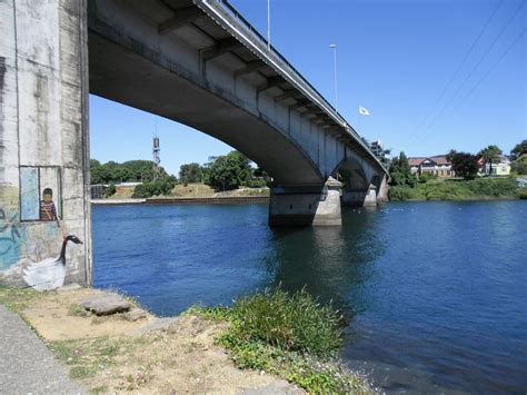 El Puente Pedro de Valdivia que cruza el Río Valdivia y llega a la