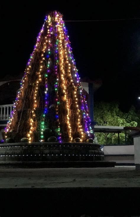 Consume Fuego Rbol De Navidad Elaborado Con Frutas Producidas En