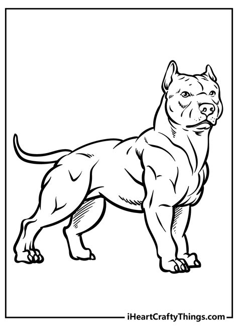 Printable Pitbull Coloring Page Updated 2022 Coloring Home