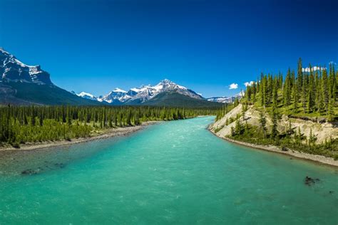 Jasper Icefields Parkway Self Guided Driving Audio Tour GetYourGuide