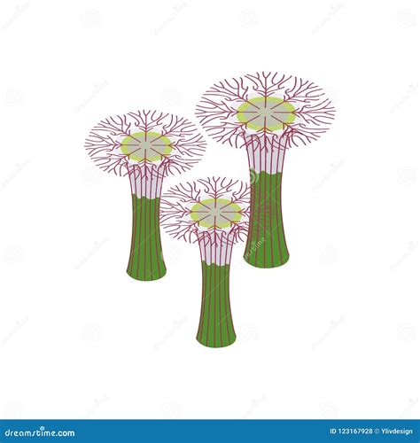 Botanical Garden In Singapore Icon Stock Illustration Illustration Of