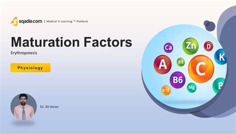 Erythropoiesis - Maturation Factors