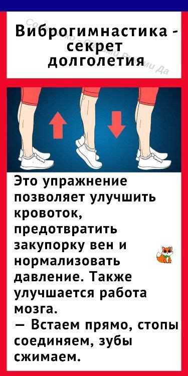 Упражнение, которое значительно продлит вам жизнь | Упражнения ...