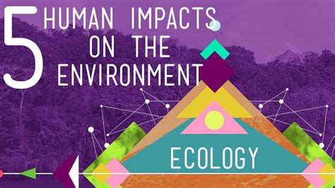 How Do Human Activities Impact Ecosystems