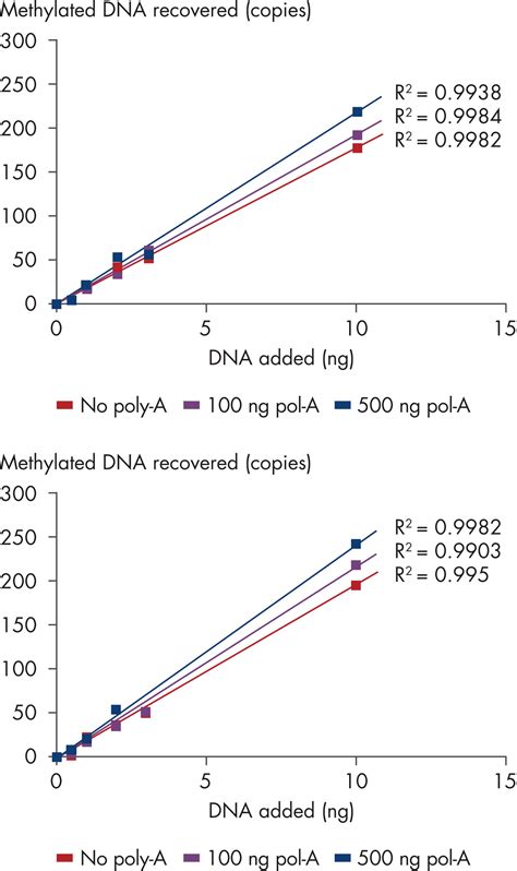 QIAamp Circulating Nucleic Acid Kit CcfDNA RNA QIAGEN