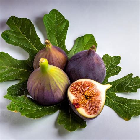 Fresh Purple Fig Fruit And Slices With Leaf Isolated On White