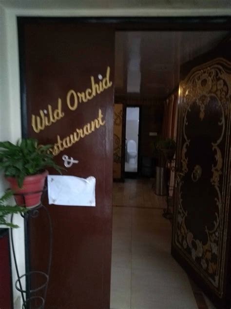 Menu Of Wild Orchid Restaurant Vishal Gaon Gangtok October 2024