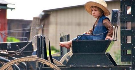 Where time stands still: The Swartzentruber Amish | Ohio's Amish Country