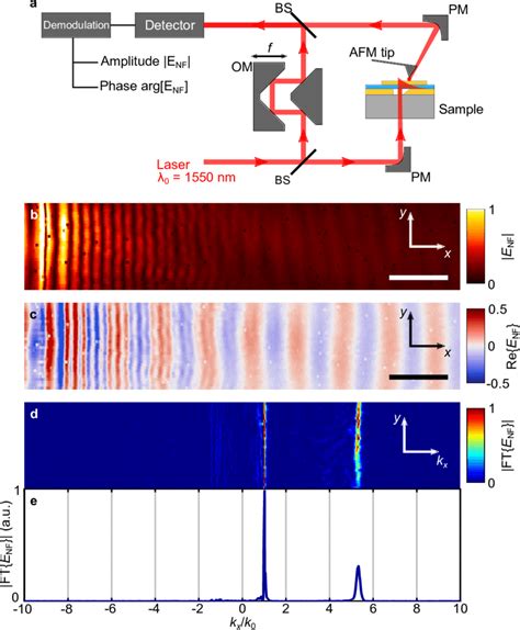 A Schematic Illustration Of The S SNOM Setup See Methods For Details