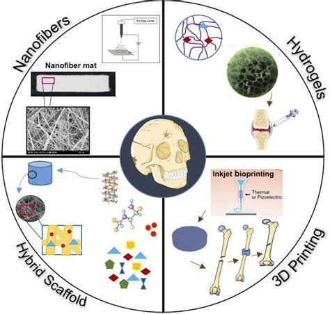 Figure 1 From Advancements And Frontiers In Nano Based 3D And 4D