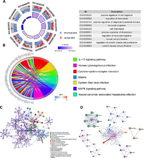 Enrichment And Protein Protein Interaction Analysis Of Differentially