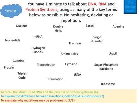 Mutation Lesson Higher Gcse Teaching Resources