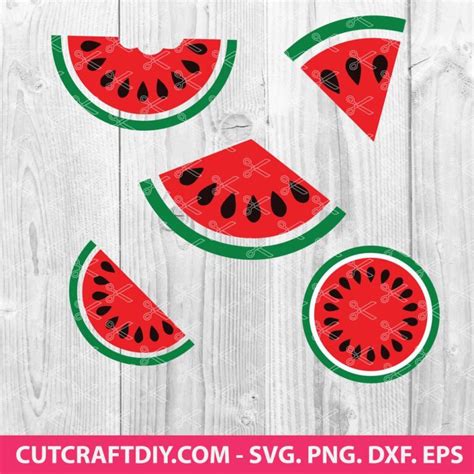 Watermelon Svg Bundle Watermelon Clipart Summer Svg Fruit Svg