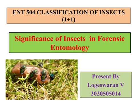 Forensic Entomology Ppt