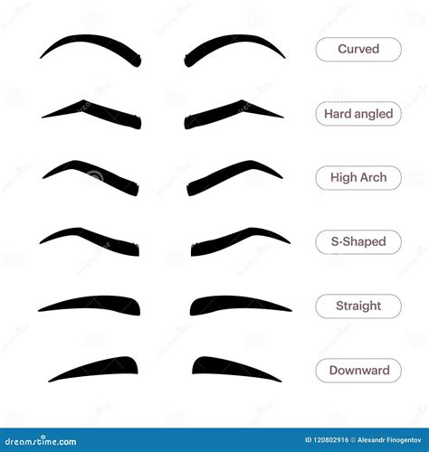 Eyebrow Chart