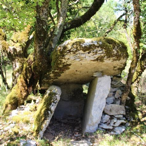 Dolmens De Saint Chels Mus E Du Patrimoine De France