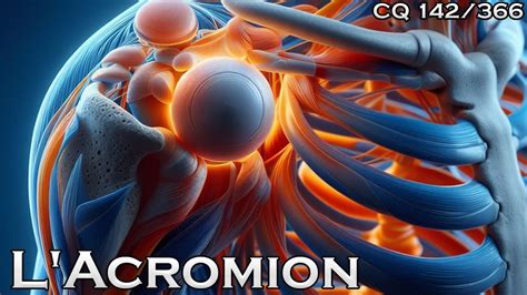 L'acromion c'est quoi ? - CQ#142 - YouTube