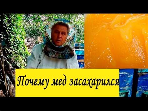 Почему мед кристаллизуется? вся правда!!!! развеиваем миф - YouTube