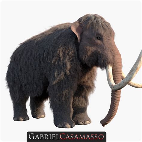 Mammuthus primigenius 3D model - TurboSquid 1238750