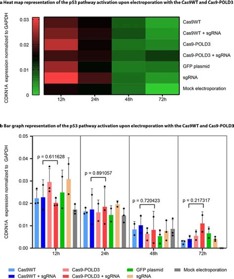 Figures And Data In Rapid Genome Editing By CRISPR Cas9 POLD3 Fusion