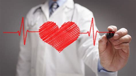 Malattie Cardiovascolari Come Prevenirle Scienza Medica