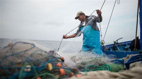 Produce financió con S 2 6 millones en créditos a pescadores