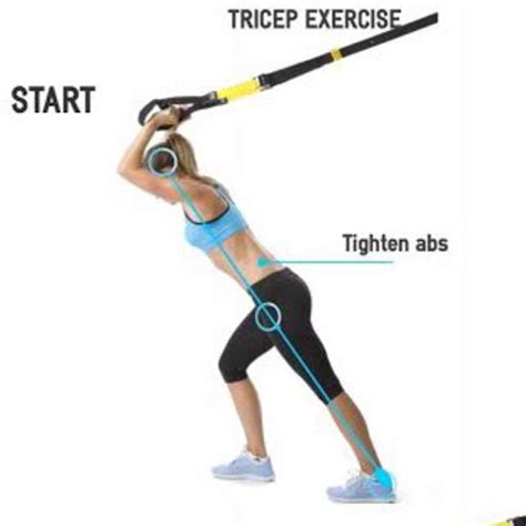 Extensión De Tricep TRX by María Soto Ejercicio Cómo hacerlo Skimble