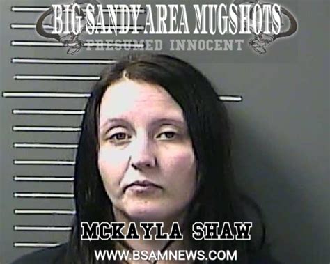 Mckayla Shaw Big Sandy Area Mugshots News