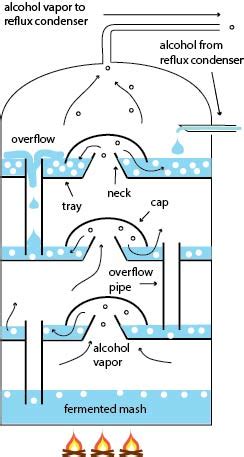 Fractionating Column Diagram