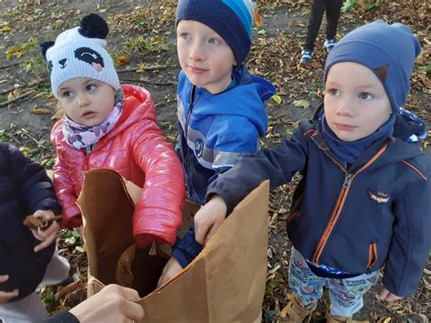 Akcja Ratujmy Kasztanowce Przedszkole Montessori Przedszkolak Na