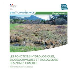 Les Fonctions Hydrologiques Biog Ochimiques Et Biologiques Des Zones