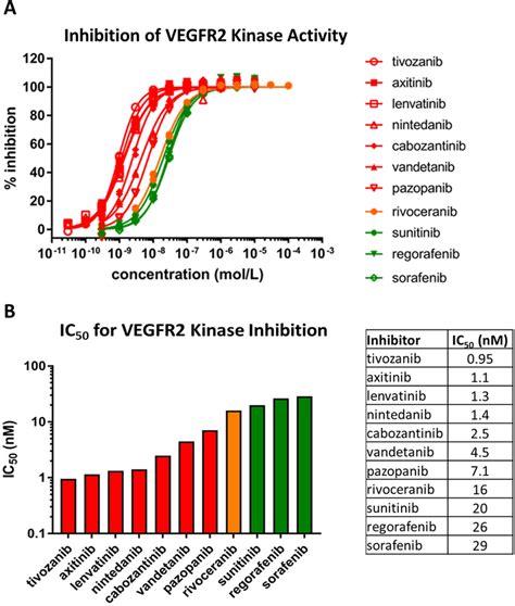 Potency Of Rivoceranib Mediated Vegfr2 Kinase Inhibition Is Within The