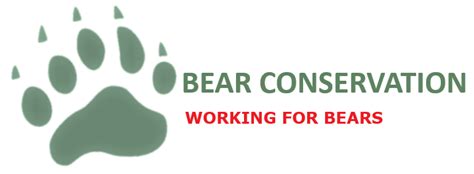 Brown bear – Bear Conservation