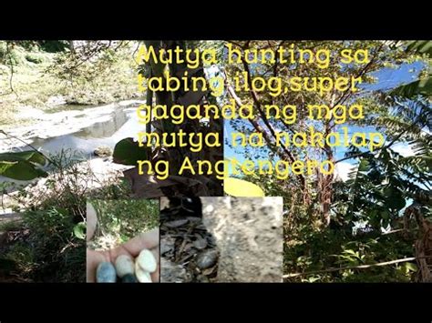 Mutya Hunting Sa Tabing Ilog Super Ganda Ng Mga Mutya Na Nakalap Ng