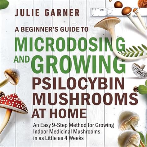 Amazon A Beginners Guide To Microdosing And Growing Psilocybin