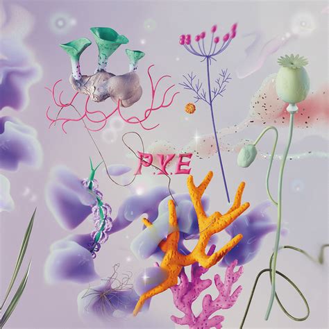 P.Y.E Optics Identity 3 :: Behance