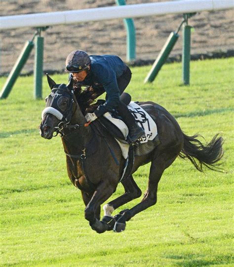 スプリンターズs、ナムラクレアは横山武とのコンビで参戦 騎乗予定だった浜中が騎乗停止のため スポニチ競馬web